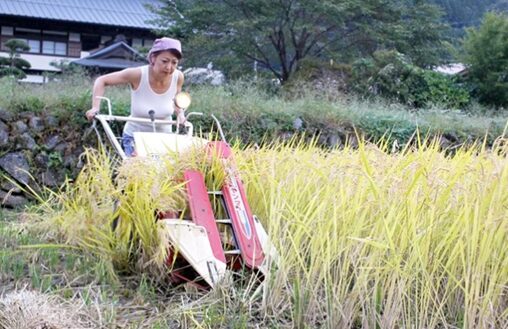 Thumbnail of post image 154