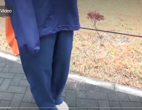 Thumbnail of post image 113